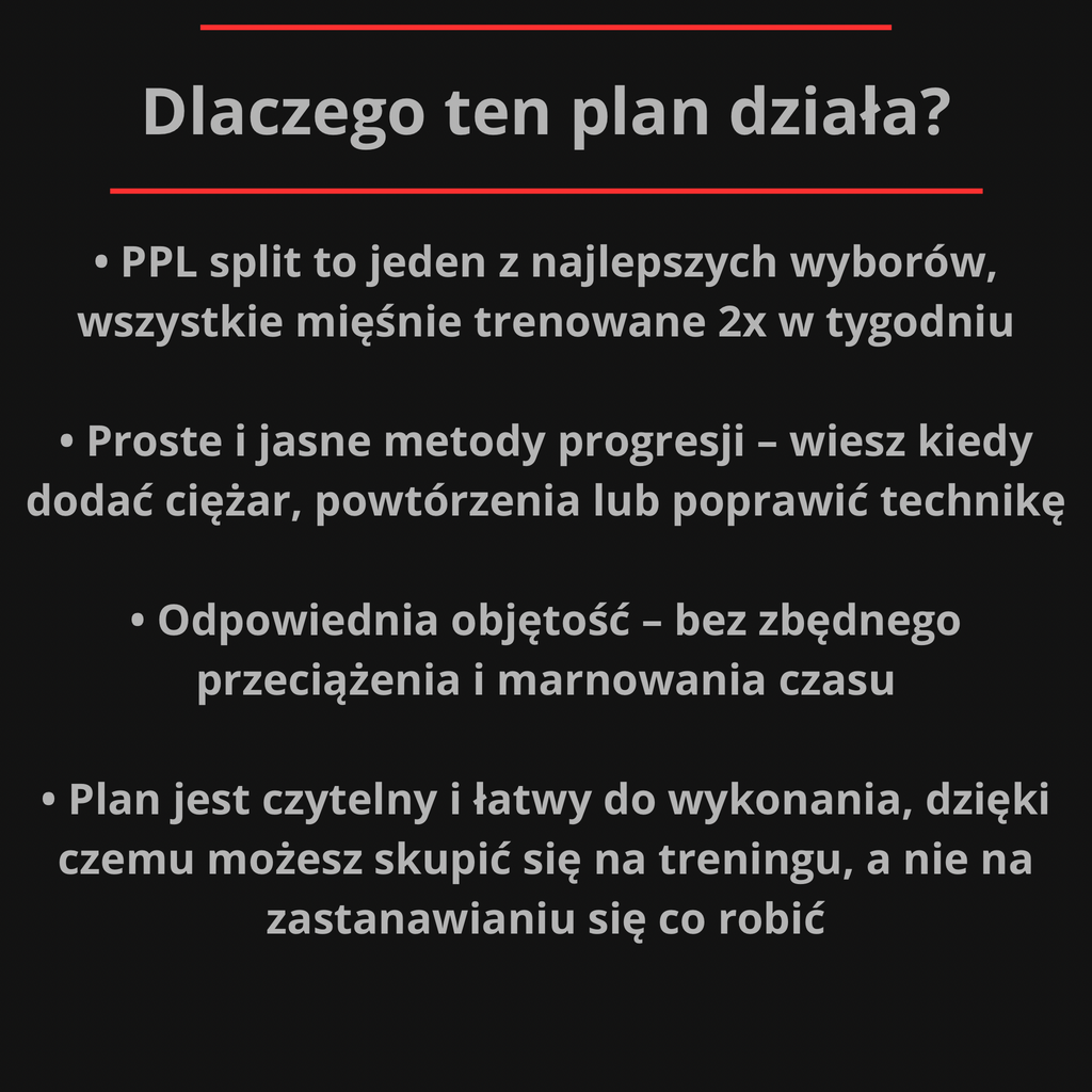 Plan treningowy 6x/tyg PPL