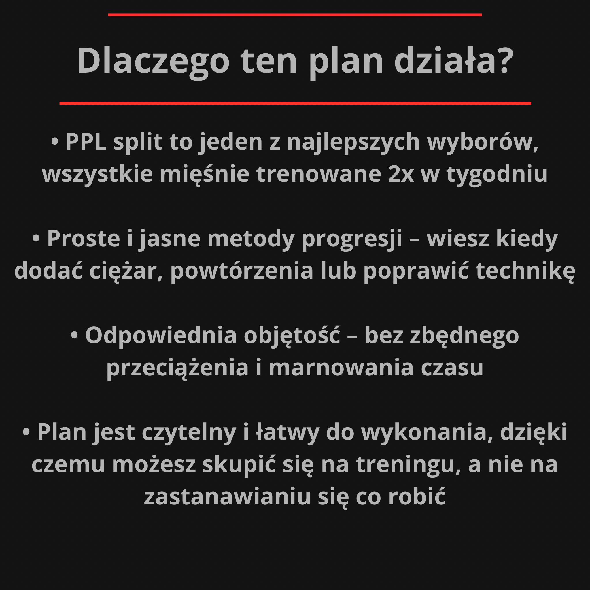 Plan treningowy 6x/tyg PPL